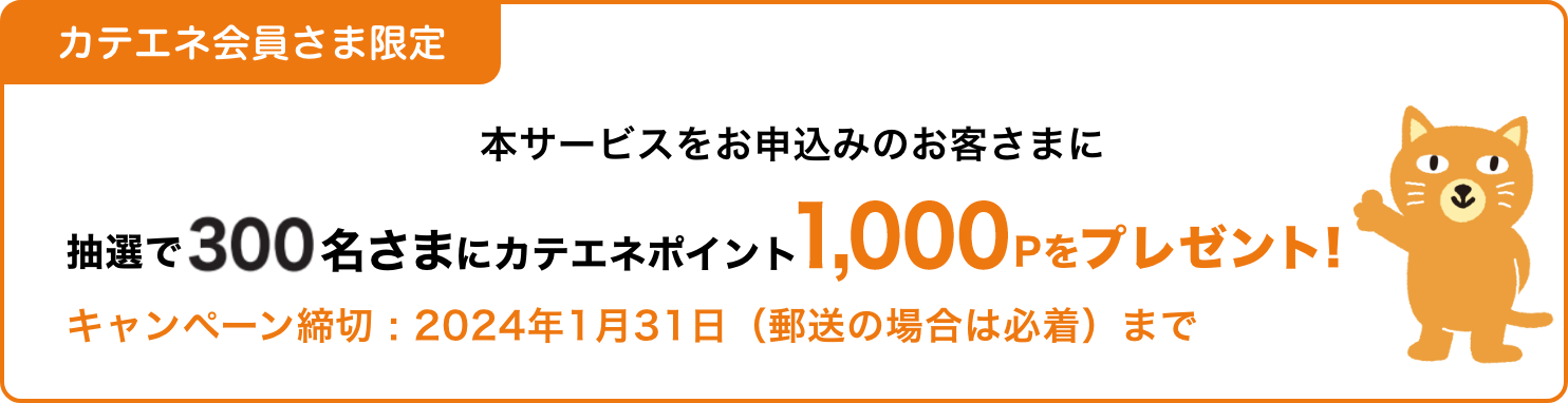 カテエネ会員さま限定 キャンペーン：抽選で300名さまにカテエネポイント1000Pをプレゼント！締切は2024年1月31日