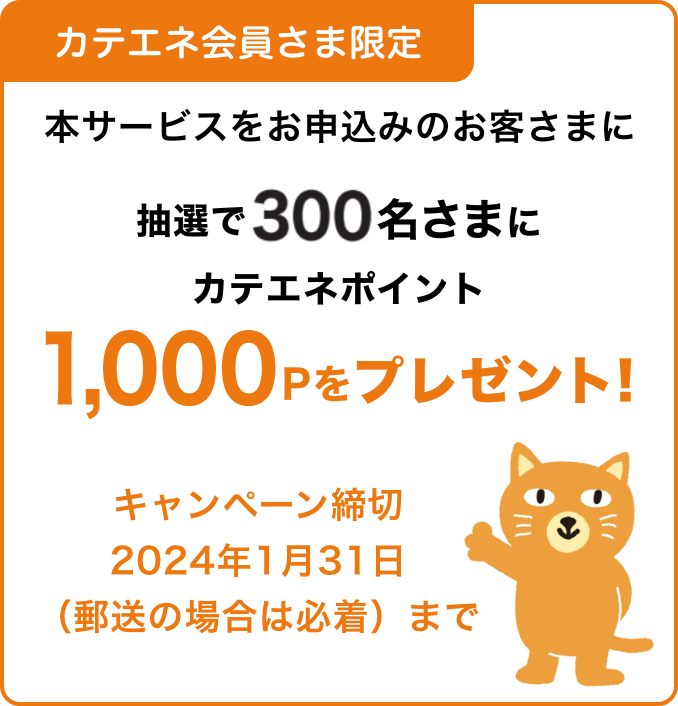 カテエネ会員さま限定 キャンペーン：抽選で300名さまにカテエネポイント1000Pをプレゼント！締切は2024年1月31日