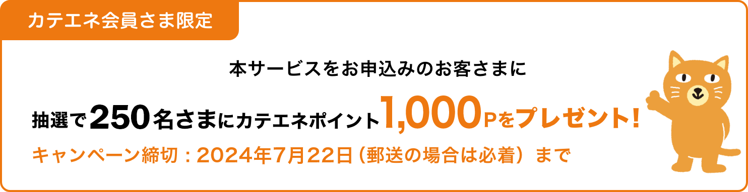 カテエネ会員さま限定 キャンペーン：抽選で250名さまにカテエネポイント1000Pをプレゼント！締切は2024年7月22日