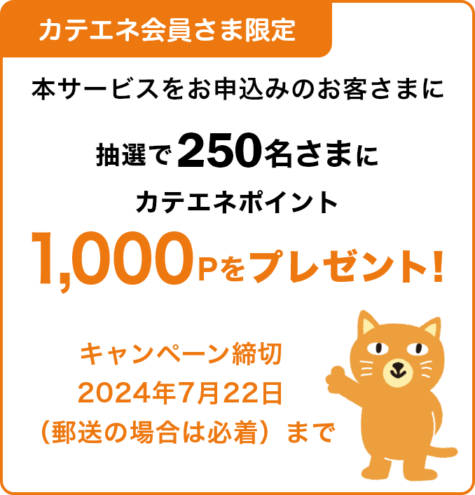 カテエネ会員さま限定 キャンペーン：抽選で250名さまにカテエネポイント1000Pをプレゼント！締切は2024年7月22日